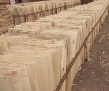 Wood Processing